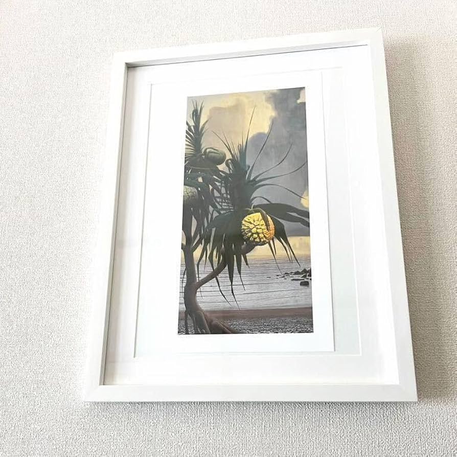 Amazon|田中一村記念美術館製 絵柄4種「アダンの海辺」ヤフオク Amazon|田中一村記念美術館製 絵柄4種「アダンの海辺」ヤフオク